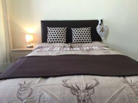 1 bedroom House Shar...